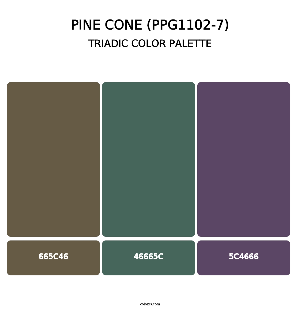 Pine Cone (PPG1102-7) - Triadic Color Palette