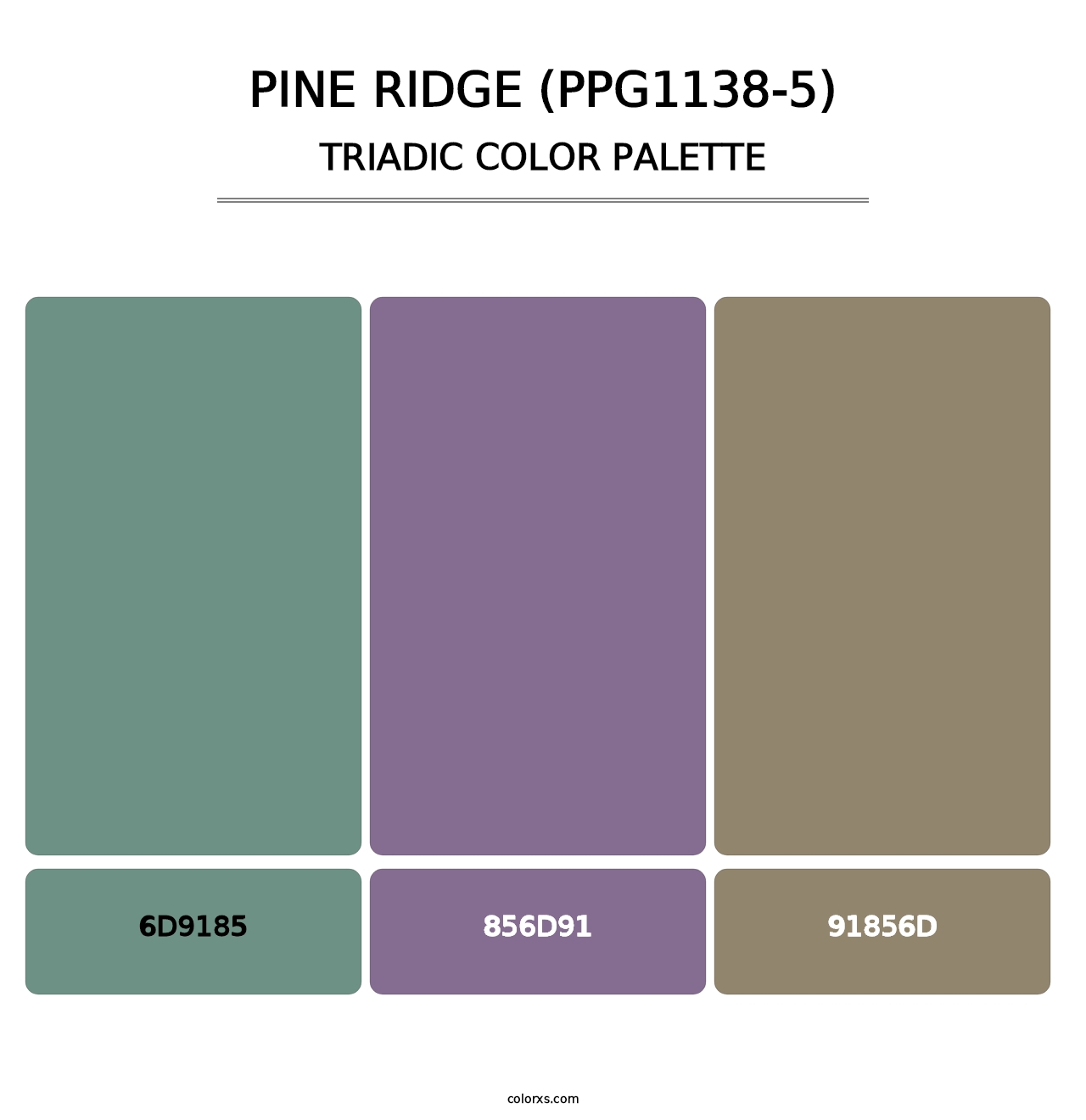 Pine Ridge (PPG1138-5) - Triadic Color Palette