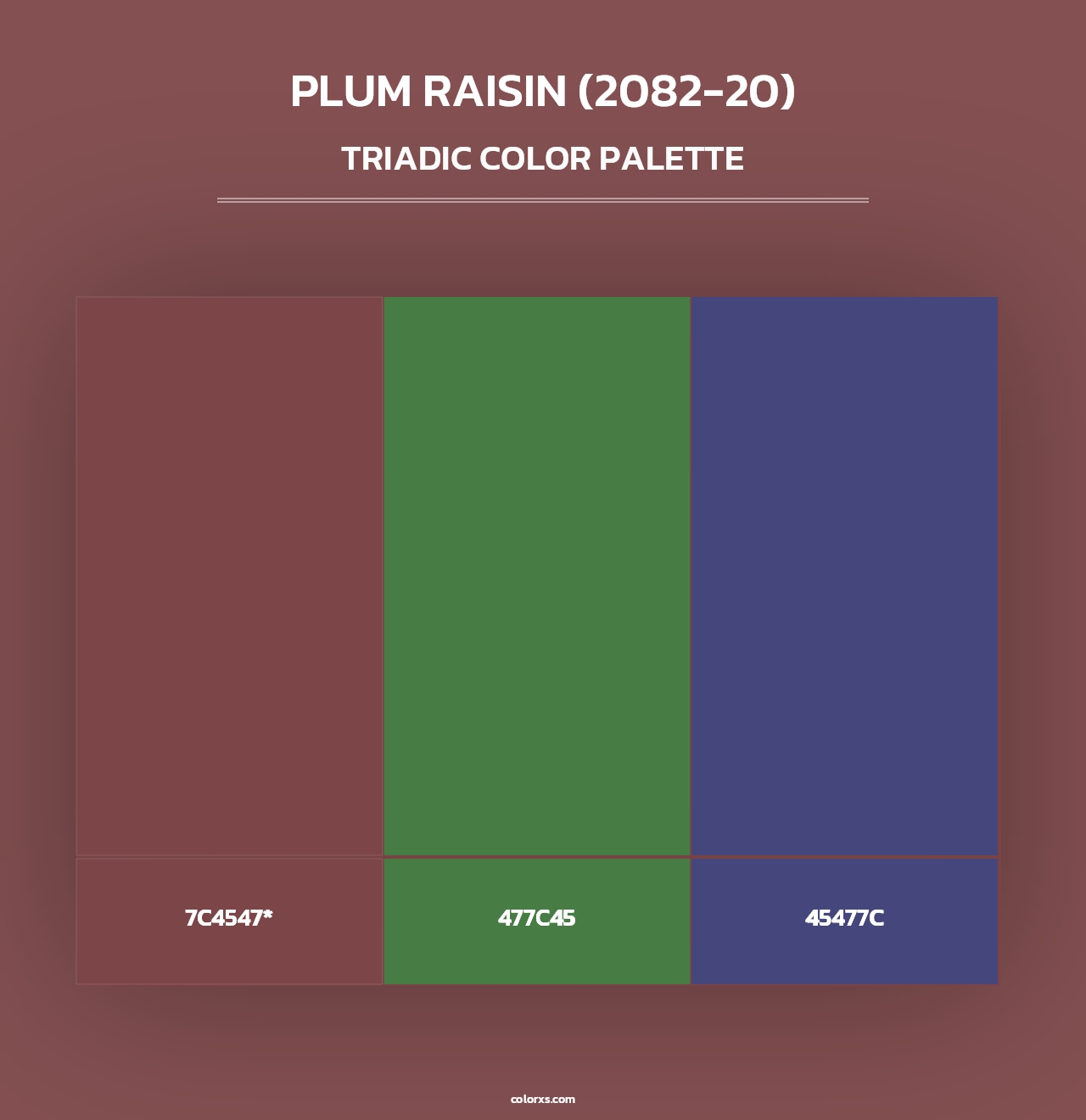 Plum Raisin (2082-20) - Triadic Color Palette