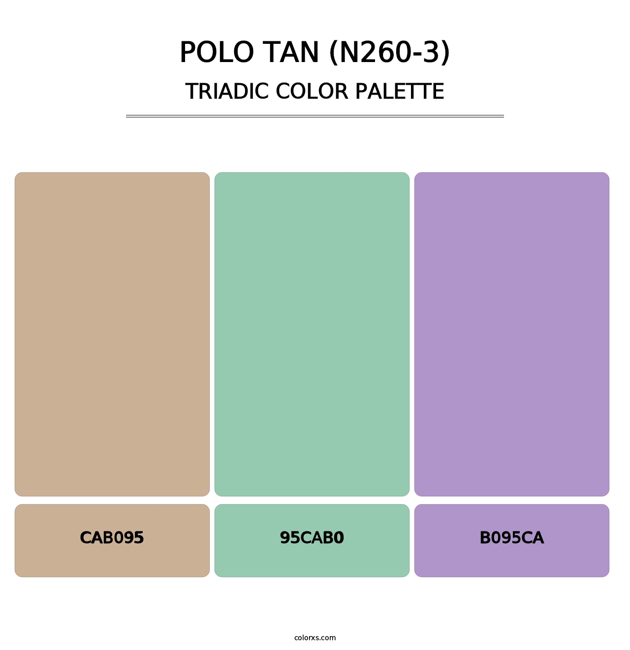 Polo Tan (N260-3) - Triadic Color Palette