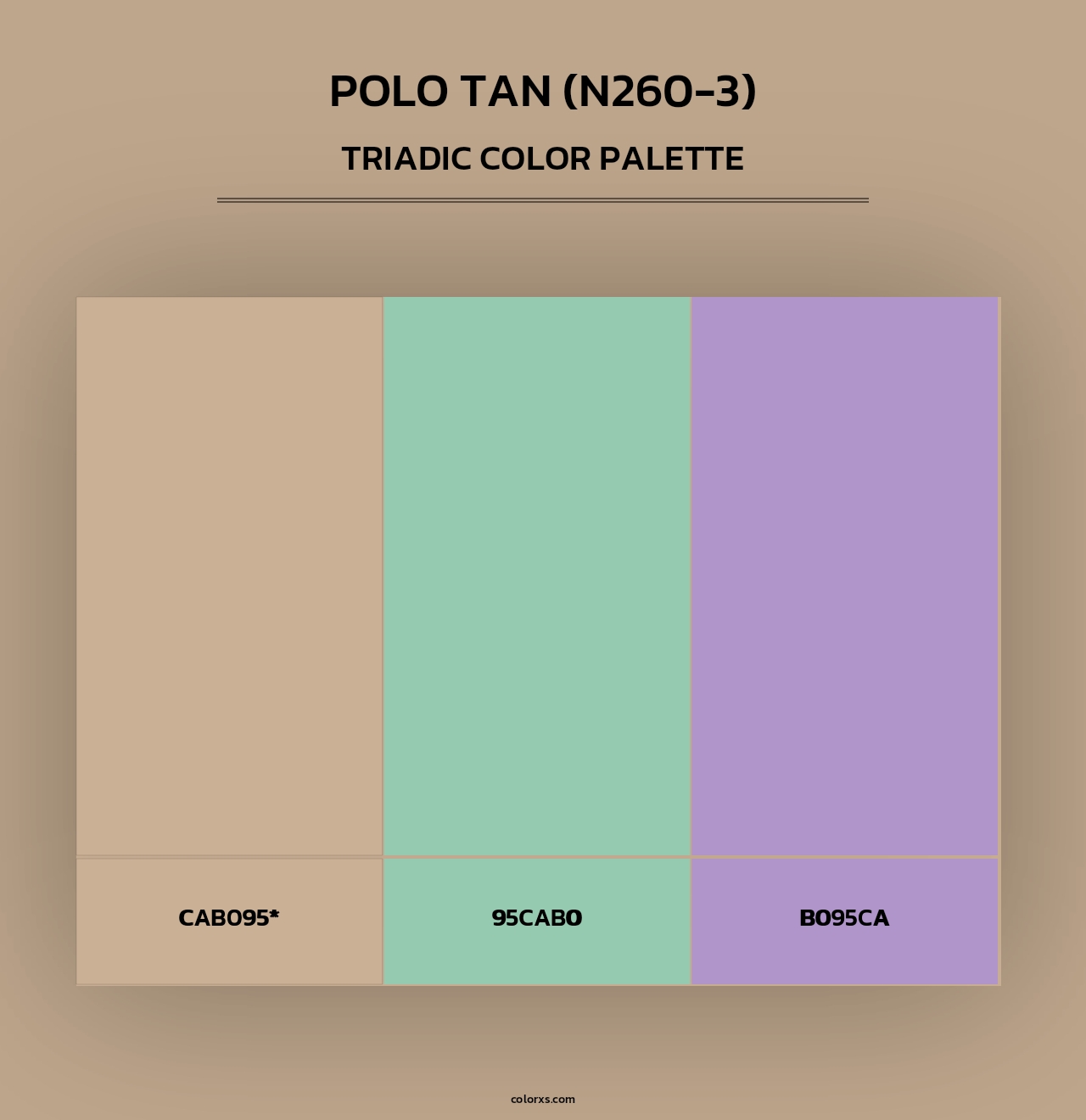 Polo Tan (N260-3) - Triadic Color Palette