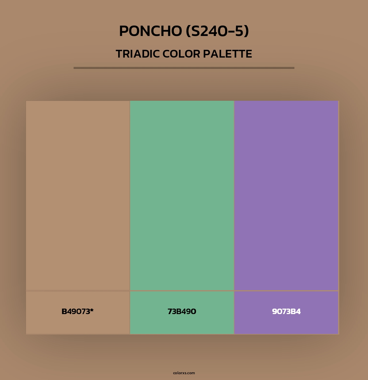 Poncho (S240-5) - Triadic Color Palette