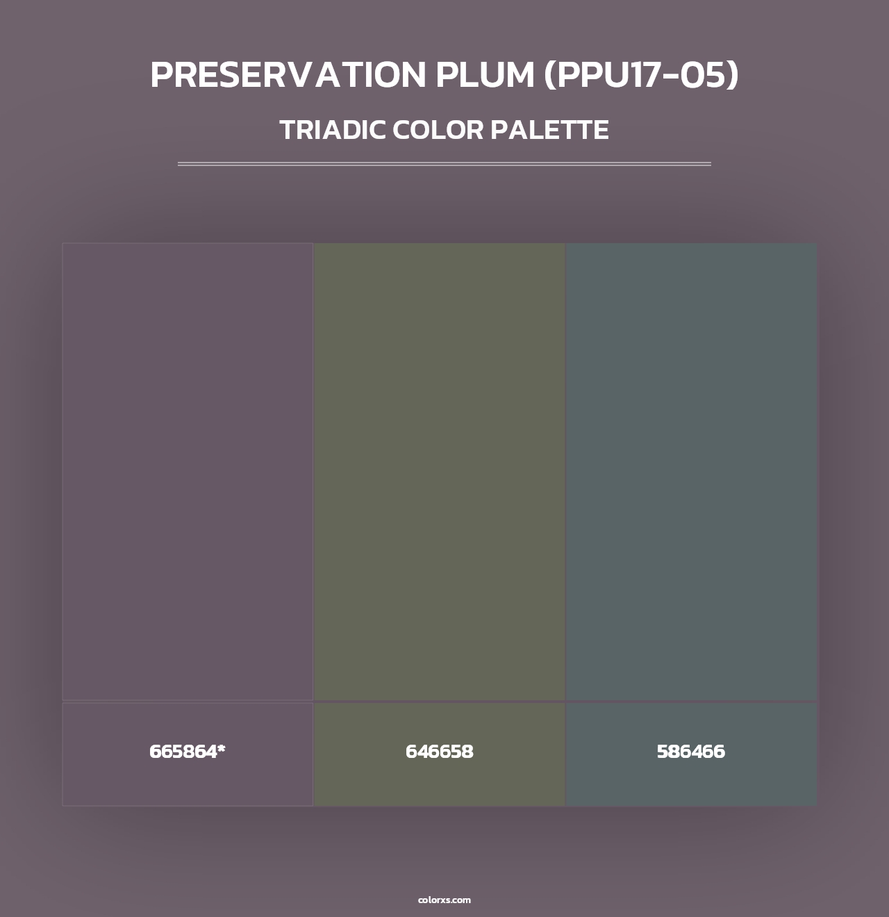 Preservation Plum (PPU17-05) - Triadic Color Palette