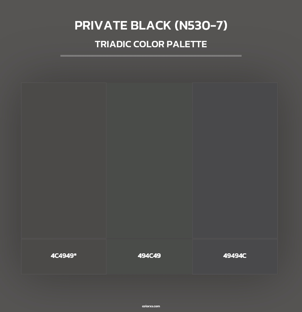 Private Black (N530-7) - Triadic Color Palette
