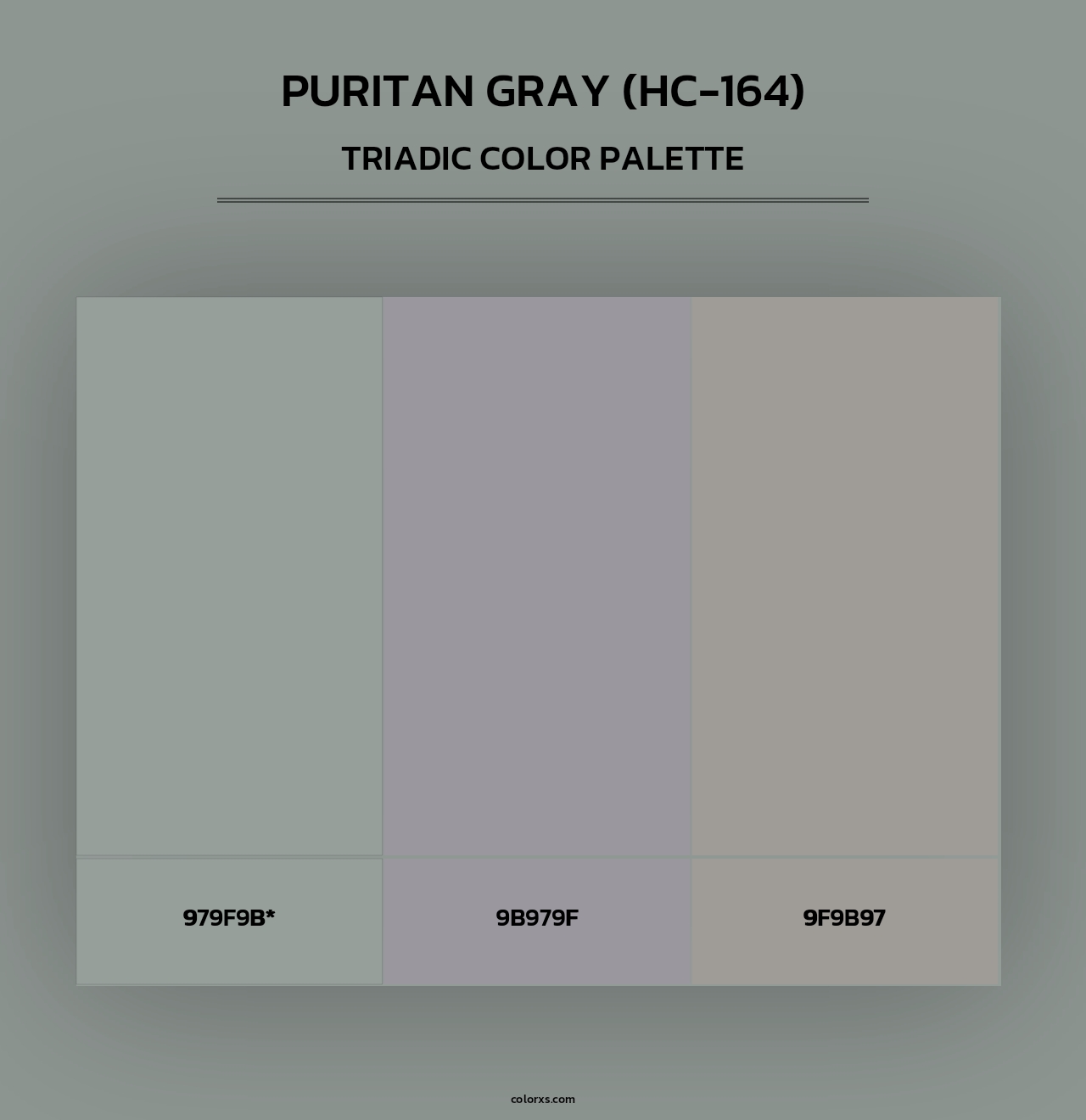 Puritan Gray (HC-164) - Triadic Color Palette