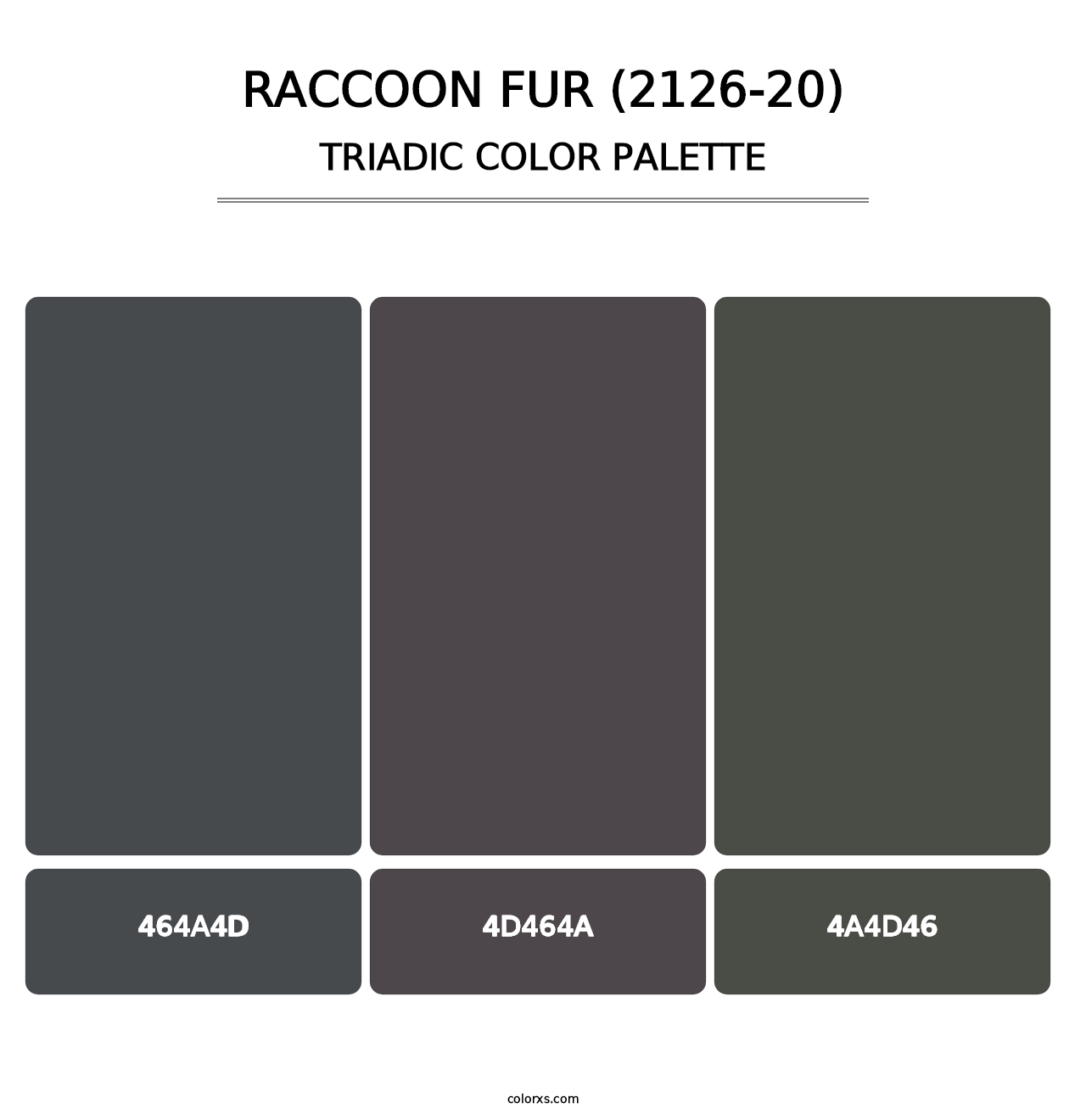 Raccoon Fur (2126-20) - Triadic Color Palette