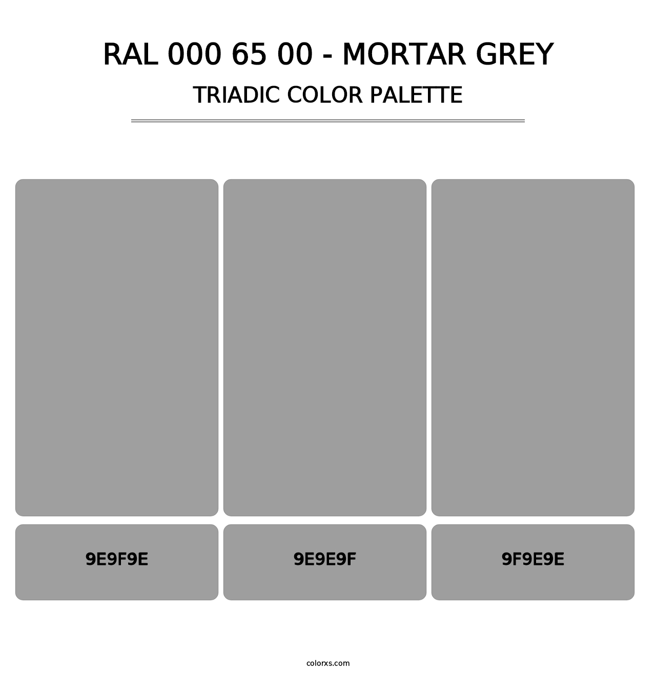 RAL 000 65 00 - Mortar Grey - Triadic Color Palette