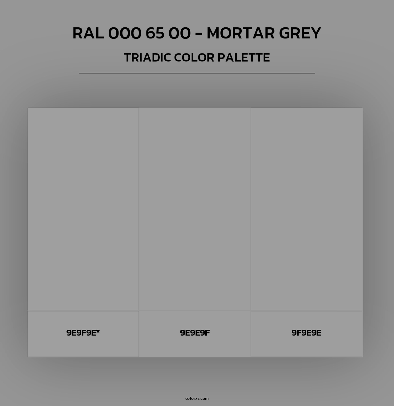 RAL 000 65 00 - Mortar Grey - Triadic Color Palette