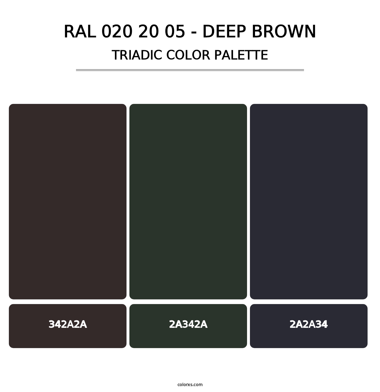 RAL 020 20 05 - Deep Brown - Triadic Color Palette