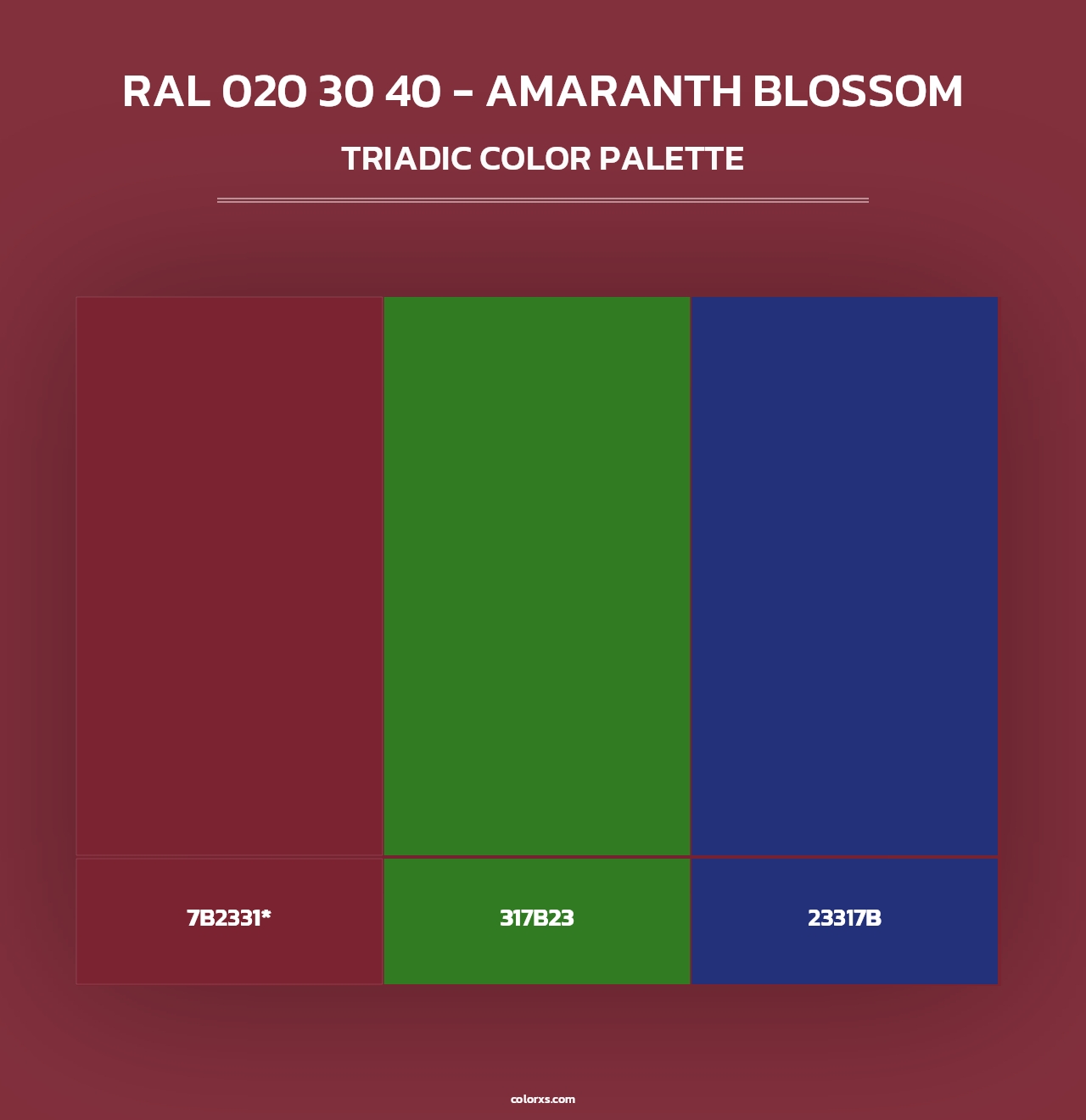 RAL 020 30 40 - Amaranth Blossom - Triadic Color Palette