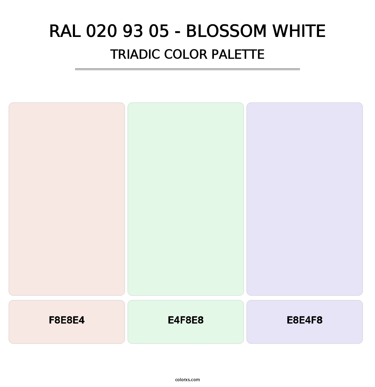 RAL 020 93 05 - Blossom White - Triadic Color Palette