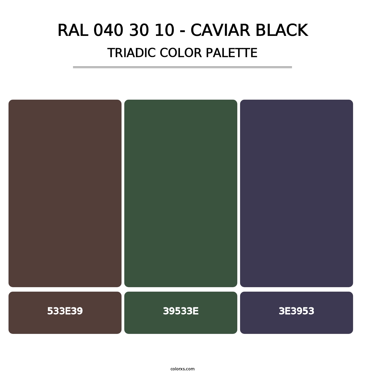 RAL 040 30 10 - Caviar Black - Triadic Color Palette
