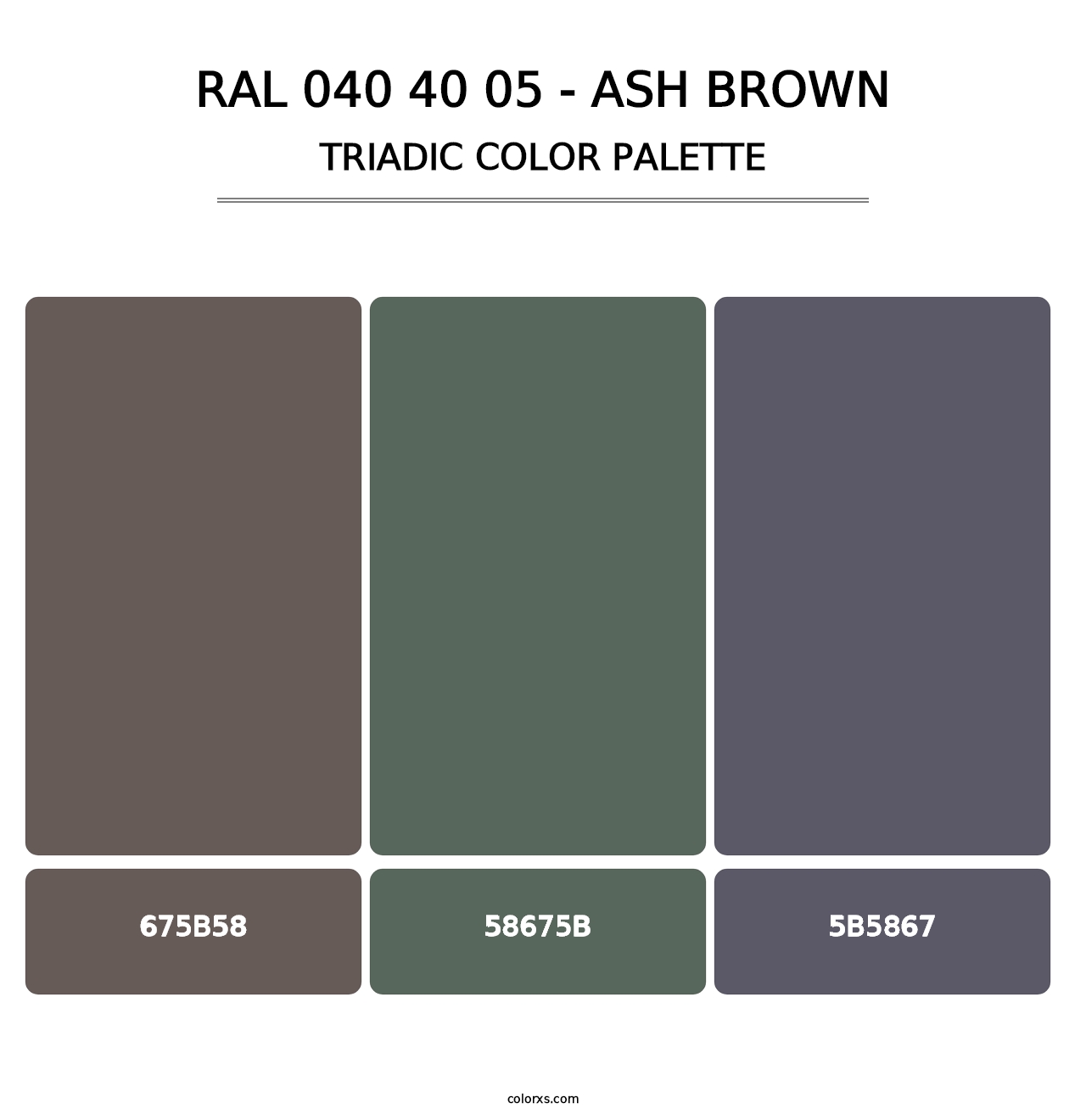RAL 040 40 05 - Ash Brown - Triadic Color Palette
