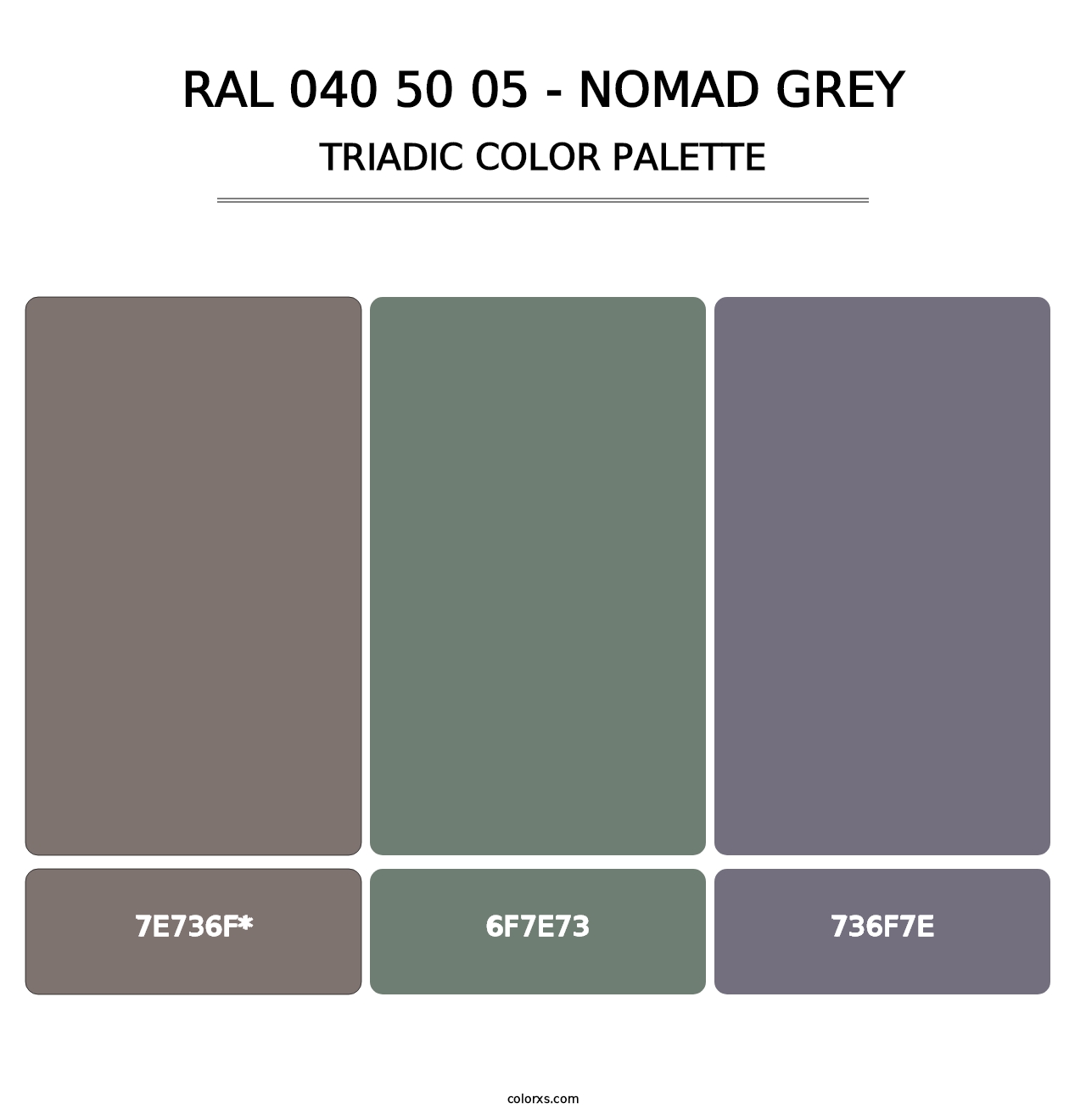 RAL 040 50 05 - Nomad Grey - Triadic Color Palette