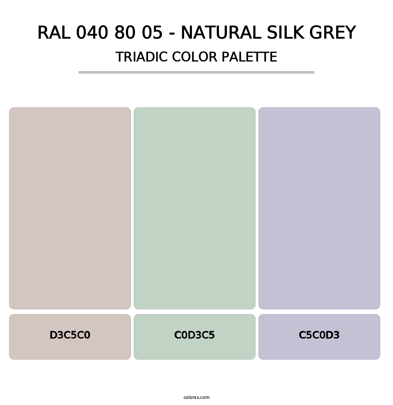 RAL 040 80 05 - Natural Silk Grey - Triadic Color Palette