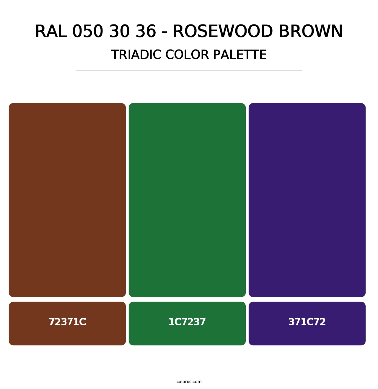 RAL 050 30 36 - Rosewood Brown - Triadic Color Palette