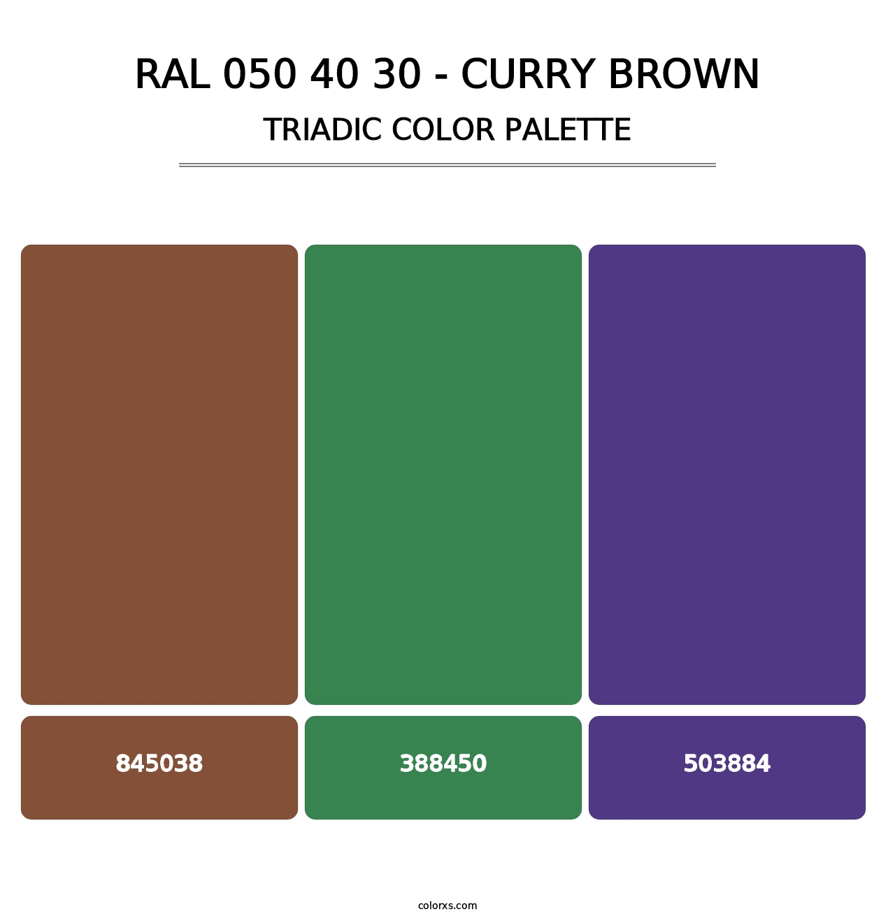 RAL 050 40 30 - Curry Brown - Triadic Color Palette
