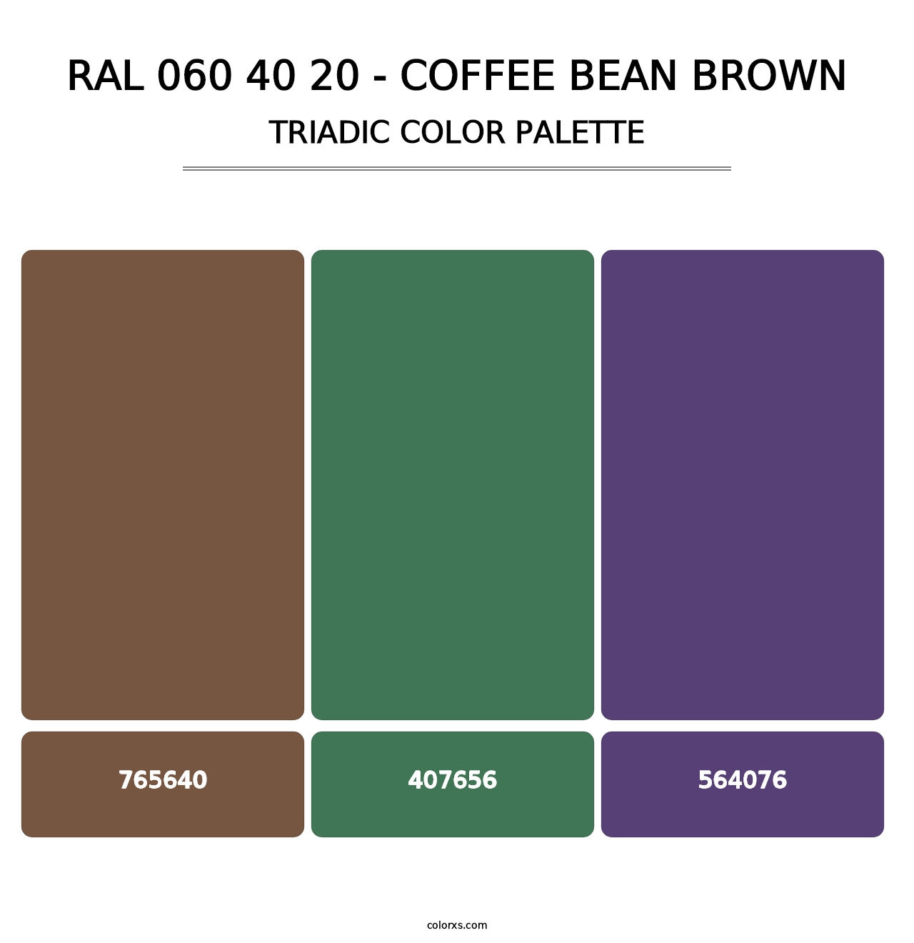 RAL 060 40 20 - Coffee Bean Brown - Triadic Color Palette