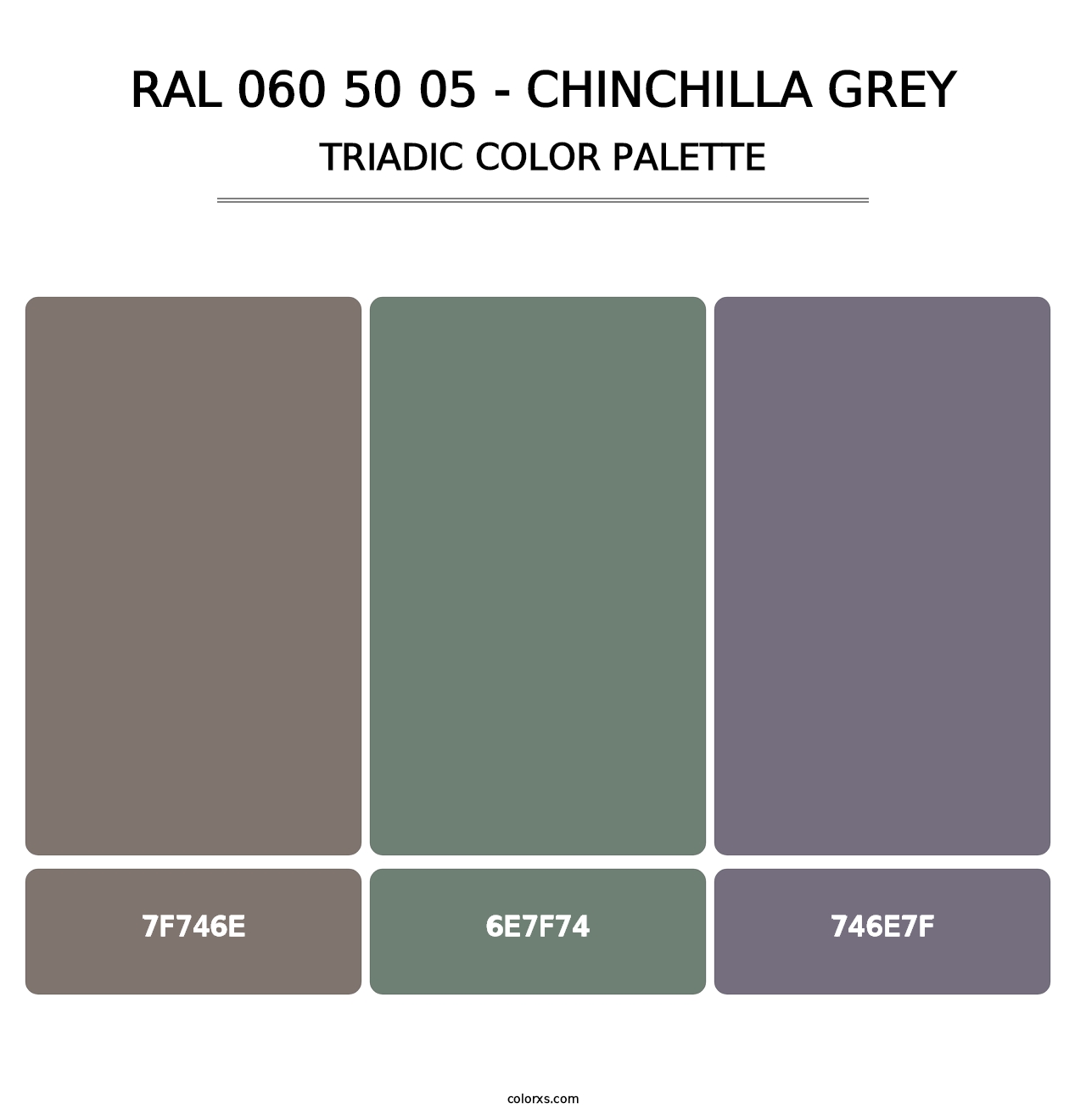 RAL 060 50 05 - Chinchilla Grey - Triadic Color Palette