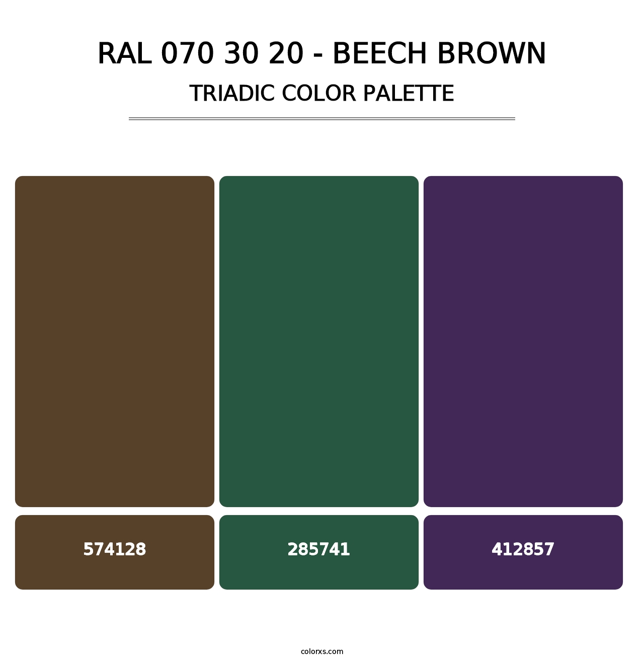 RAL 070 30 20 - Beech Brown - Triadic Color Palette