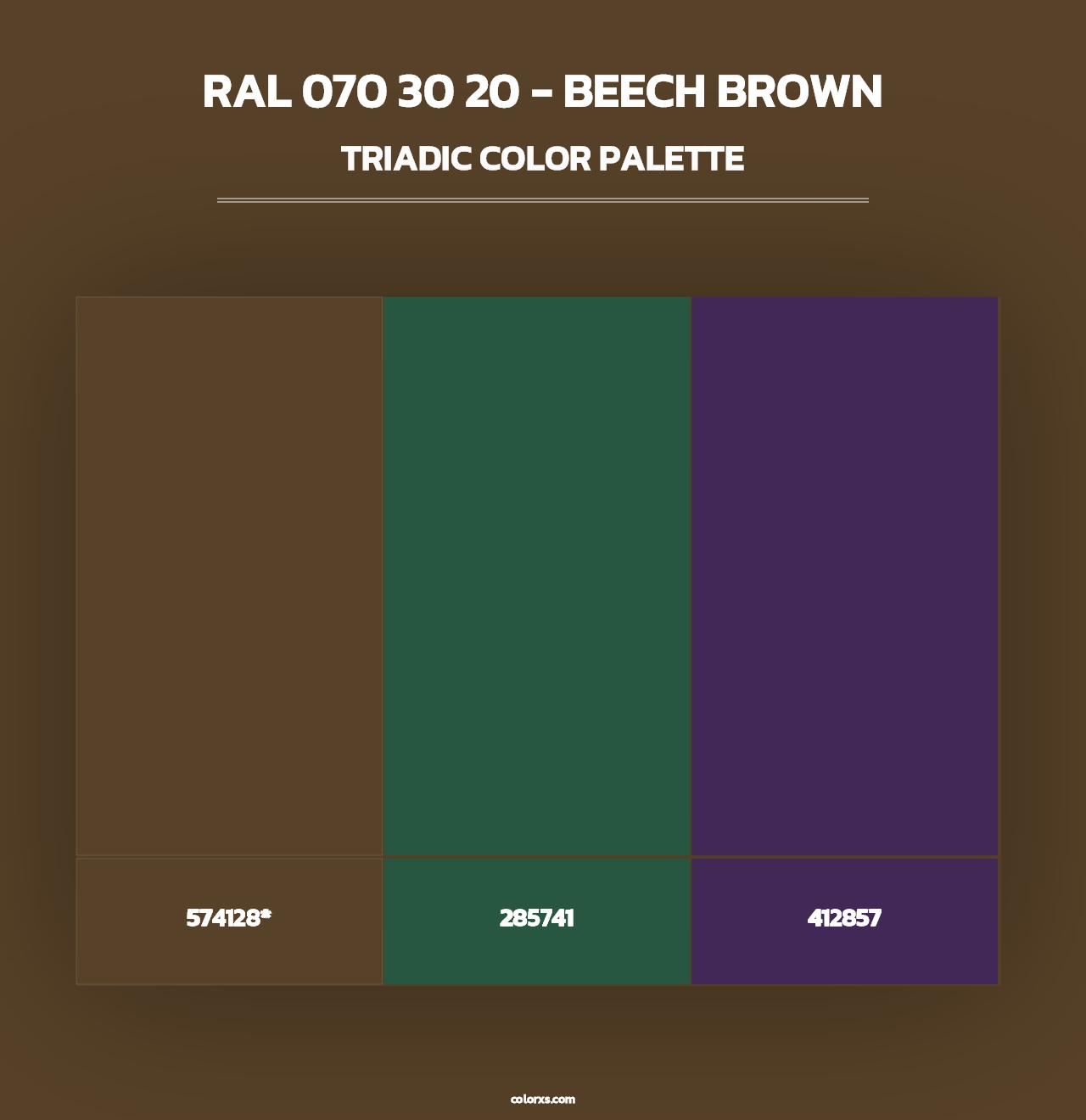 RAL 070 30 20 - Beech Brown - Triadic Color Palette