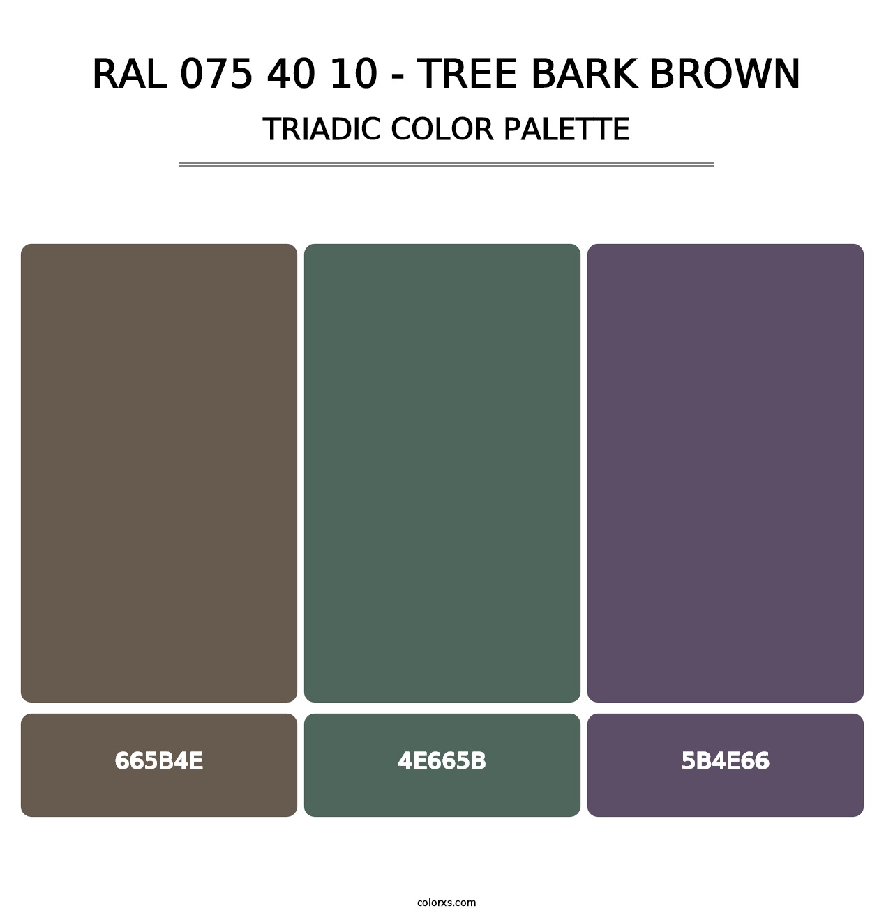 RAL 075 40 10 - Tree Bark Brown - Triadic Color Palette