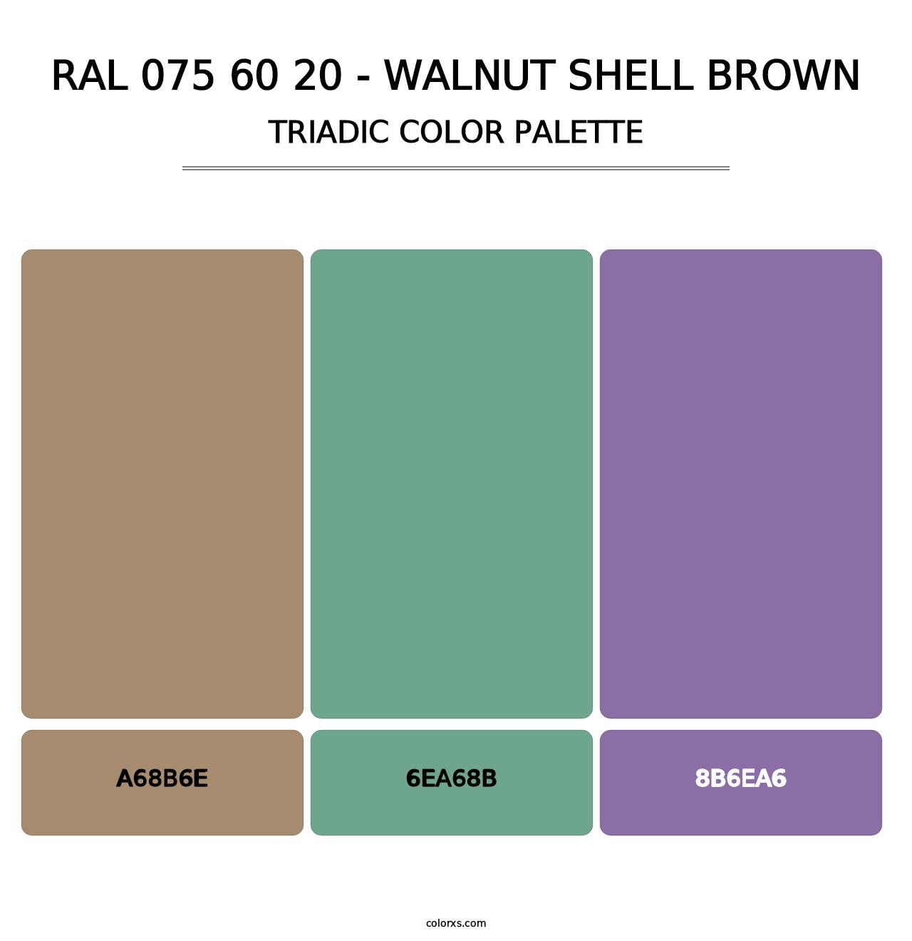 RAL 075 60 20 - Walnut Shell Brown - Triadic Color Palette