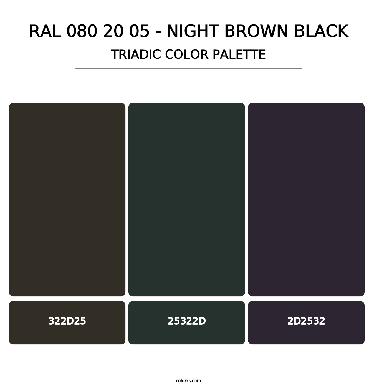 RAL 080 20 05 - Night Brown Black - Triadic Color Palette