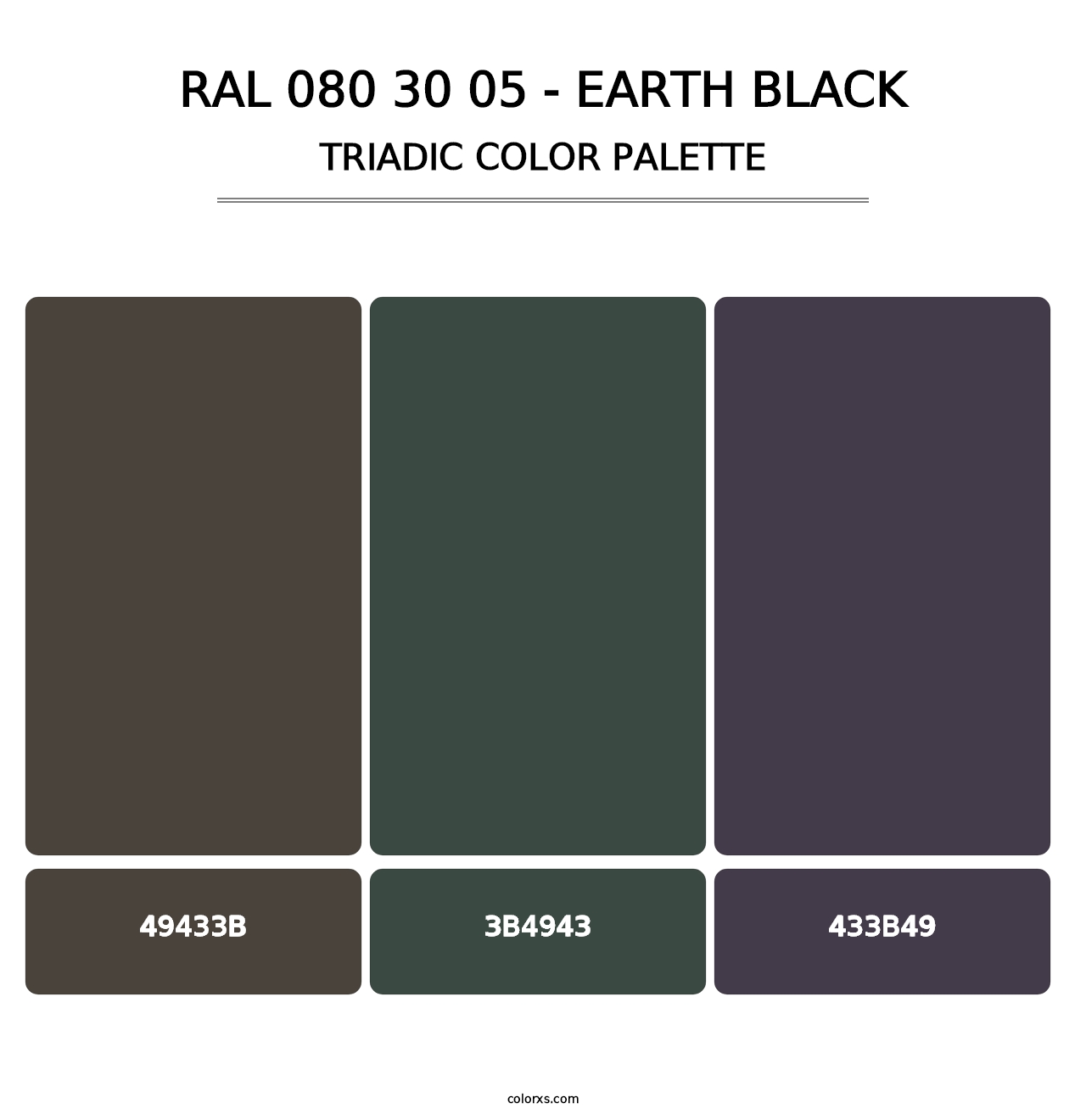 RAL 080 30 05 - Earth Black - Triadic Color Palette