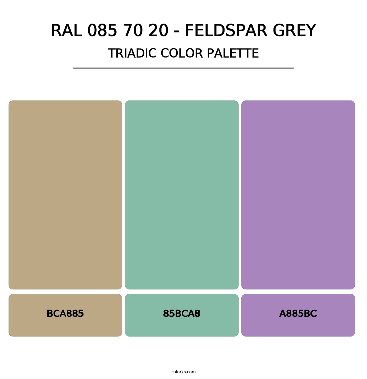 RAL 085 70 20 - Feldspar Grey - Triadic Color Palette