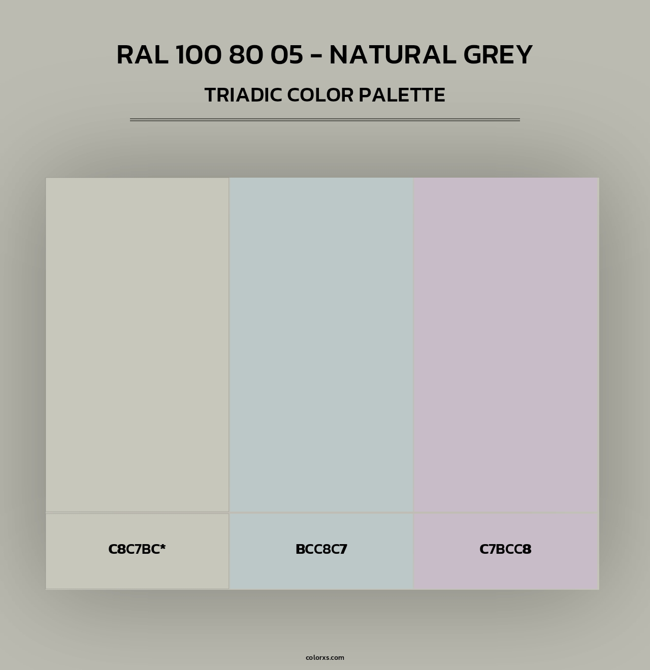 RAL 100 80 05 - Natural Grey - Triadic Color Palette