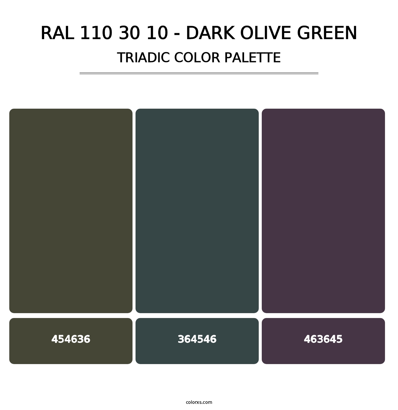 RAL 110 30 10 - Dark Olive Green - Triadic Color Palette