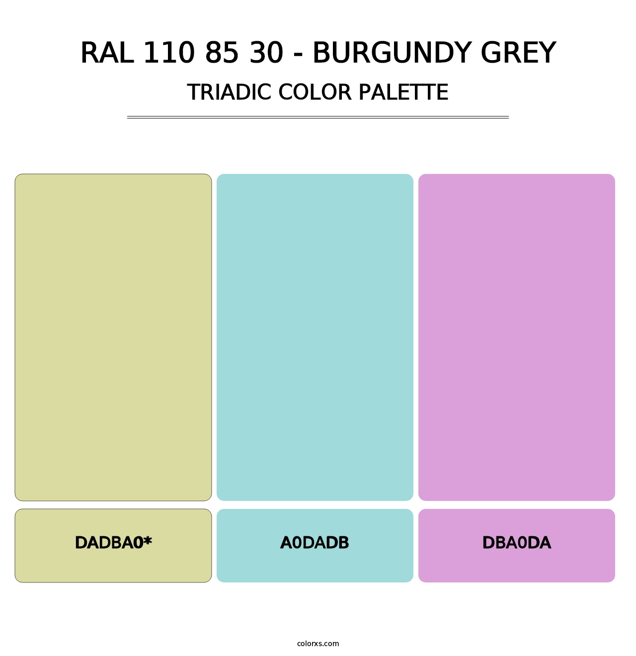RAL 110 85 30 - Burgundy Grey - Triadic Color Palette