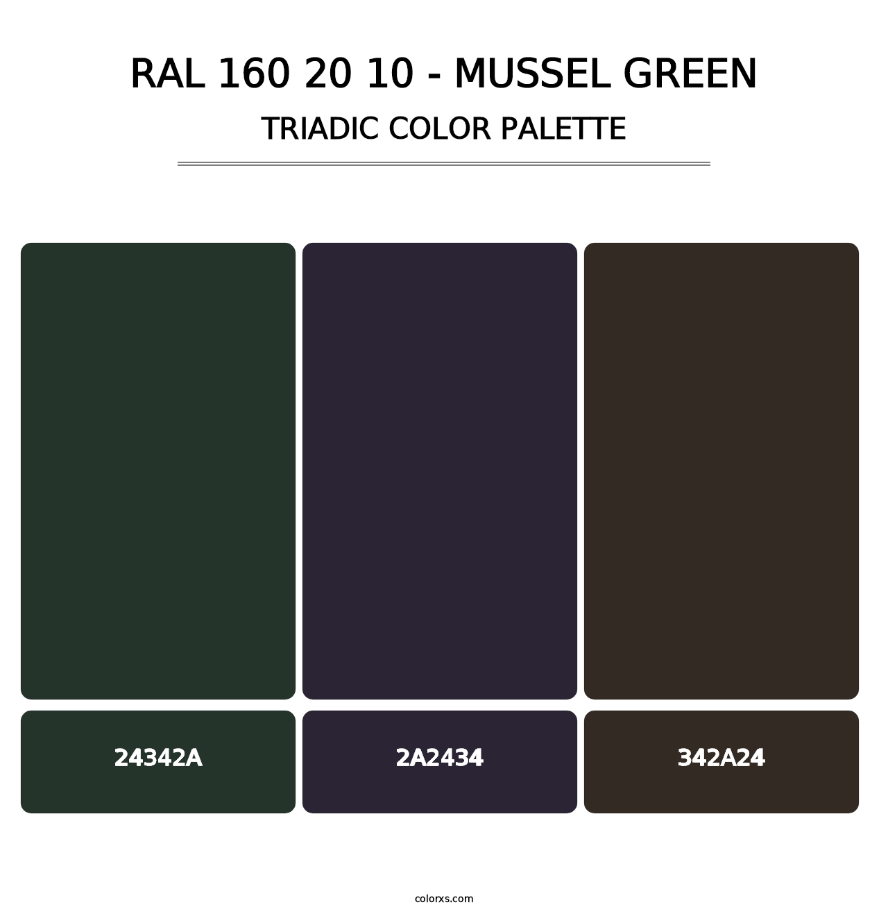RAL 160 20 10 - Mussel Green - Triadic Color Palette
