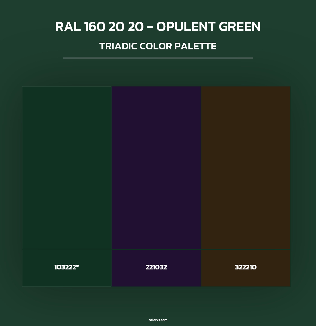 RAL 160 20 20 - Opulent Green - Triadic Color Palette