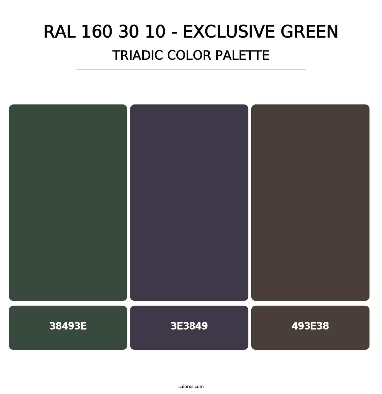 RAL 160 30 10 - Exclusive Green - Triadic Color Palette