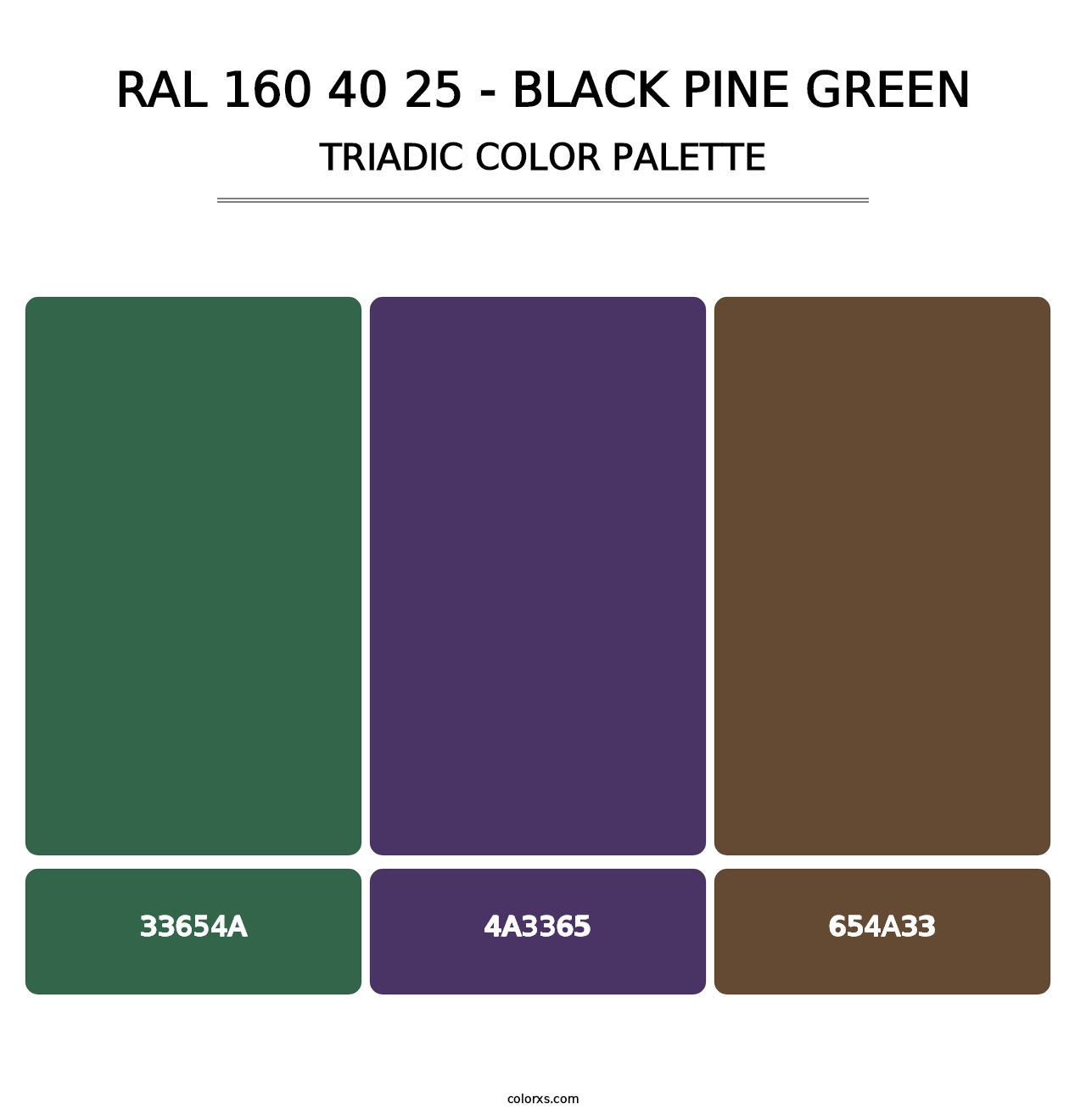 RAL 160 40 25 - Black Pine Green - Triadic Color Palette