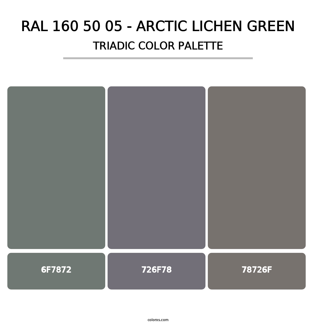 RAL 160 50 05 - Arctic Lichen Green - Triadic Color Palette