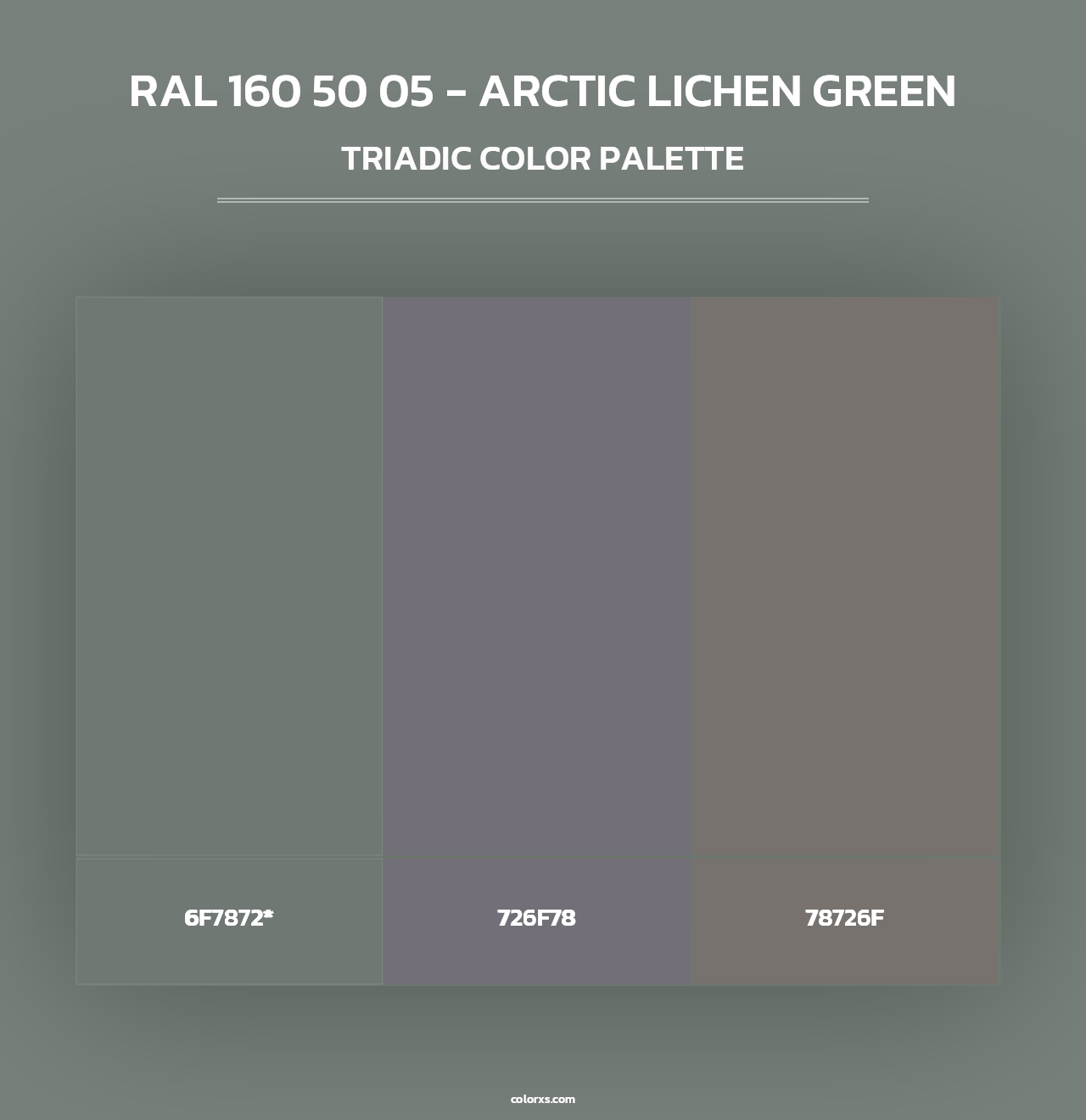 RAL 160 50 05 - Arctic Lichen Green - Triadic Color Palette