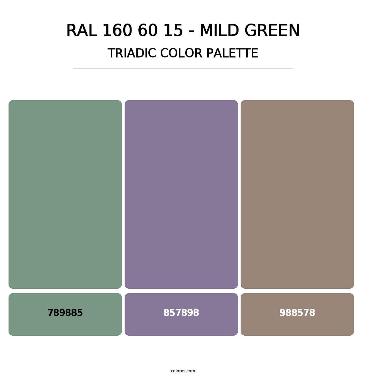 RAL 160 60 15 - Mild Green - Triadic Color Palette