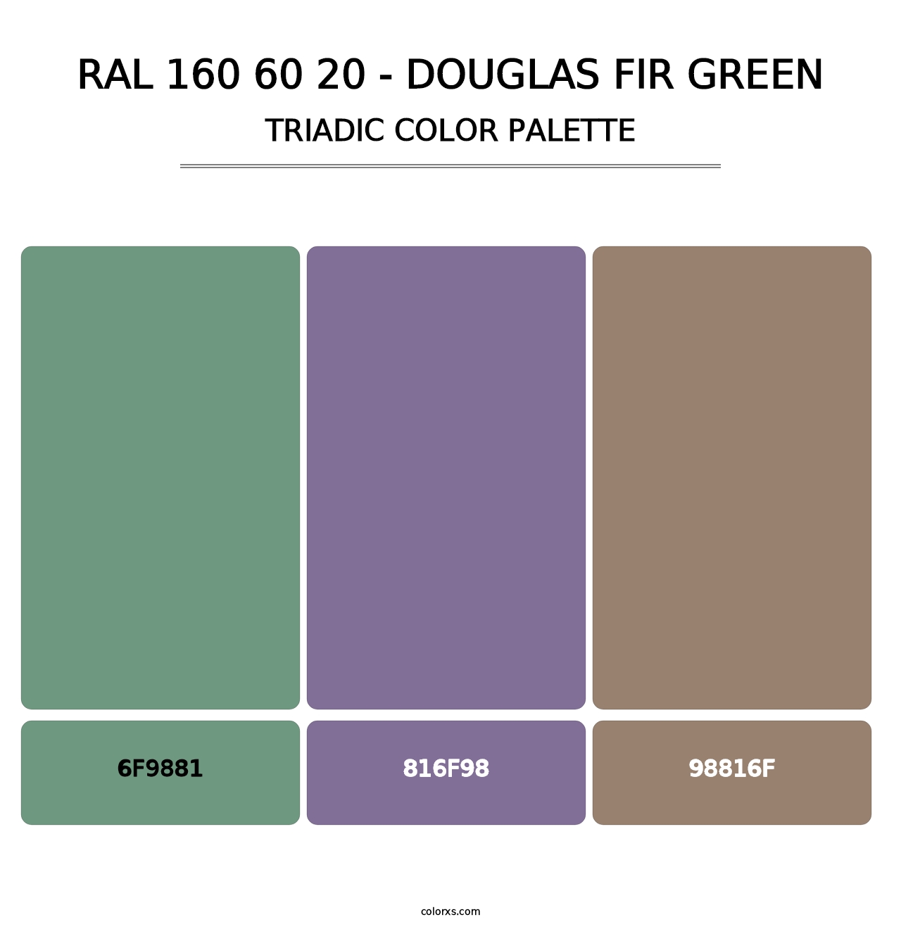 RAL 160 60 20 - Douglas Fir Green - Triadic Color Palette