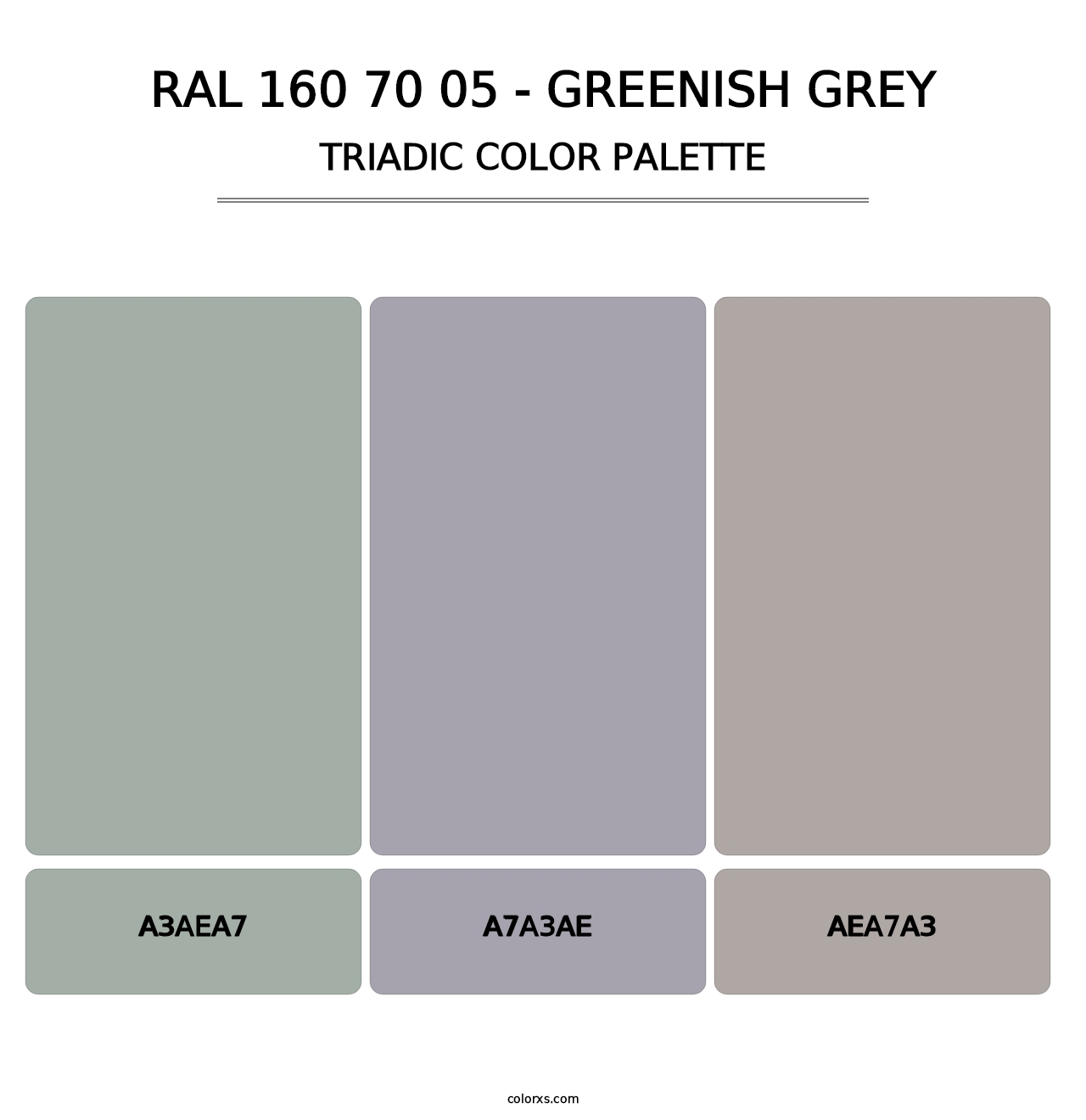 RAL 160 70 05 - Greenish Grey - Triadic Color Palette