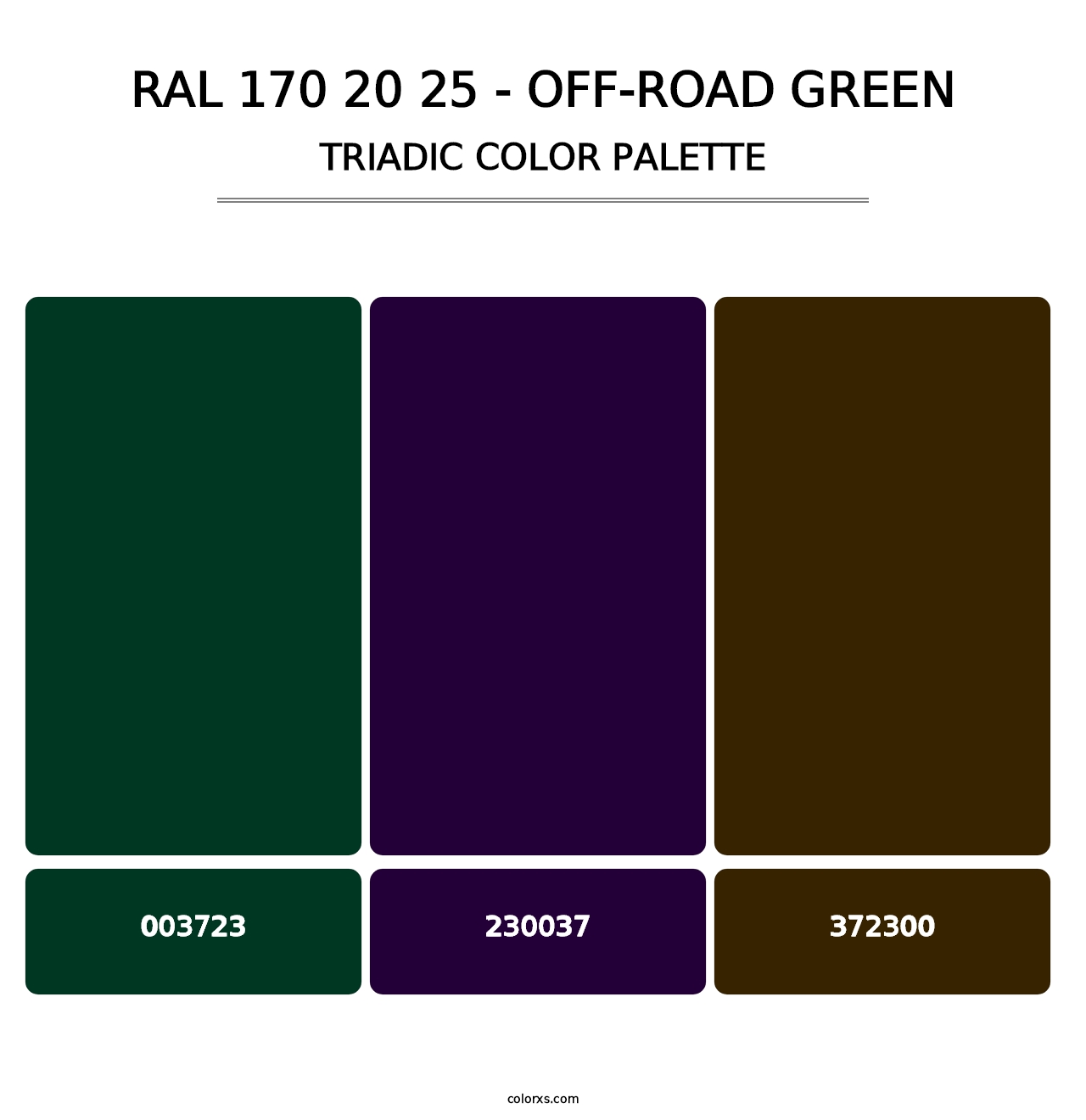 RAL 170 20 25 - Off-Road Green - Triadic Color Palette