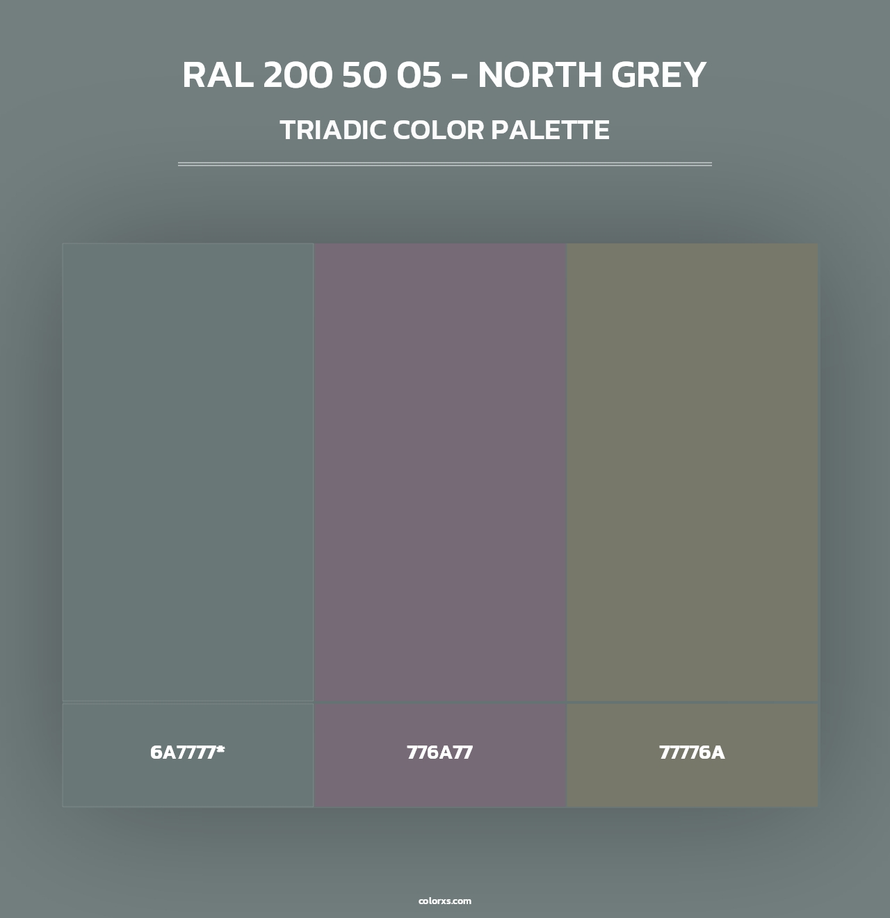RAL 200 50 05 - North Grey - Triadic Color Palette