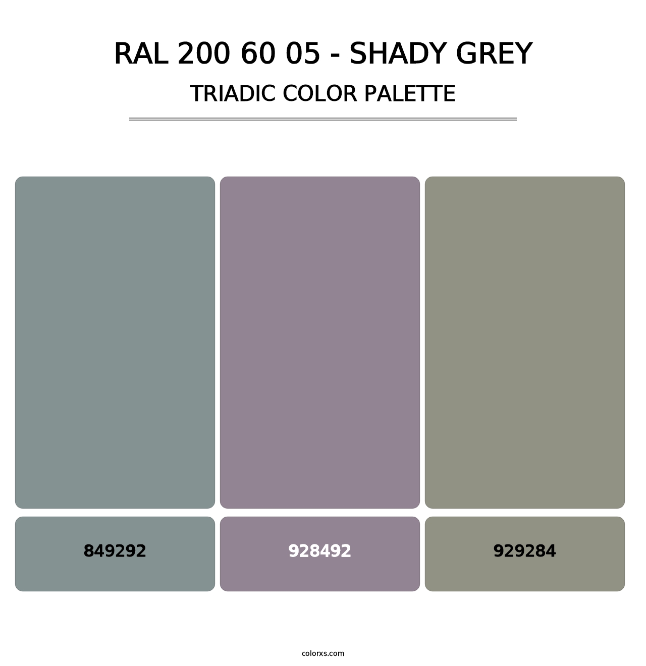 RAL 200 60 05 - Shady Grey - Triadic Color Palette