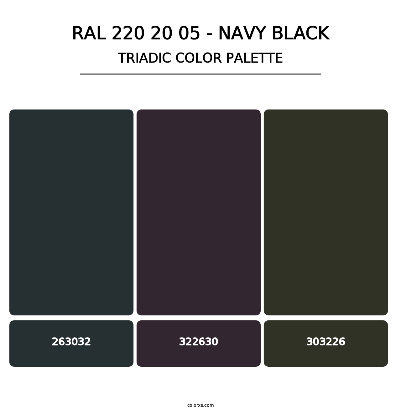 RAL 220 20 05 - Navy Black - Triadic Color Palette