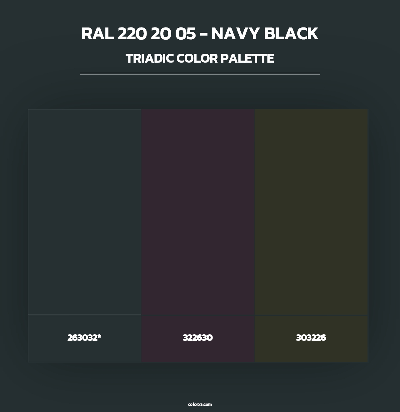 RAL 220 20 05 - Navy Black - Triadic Color Palette