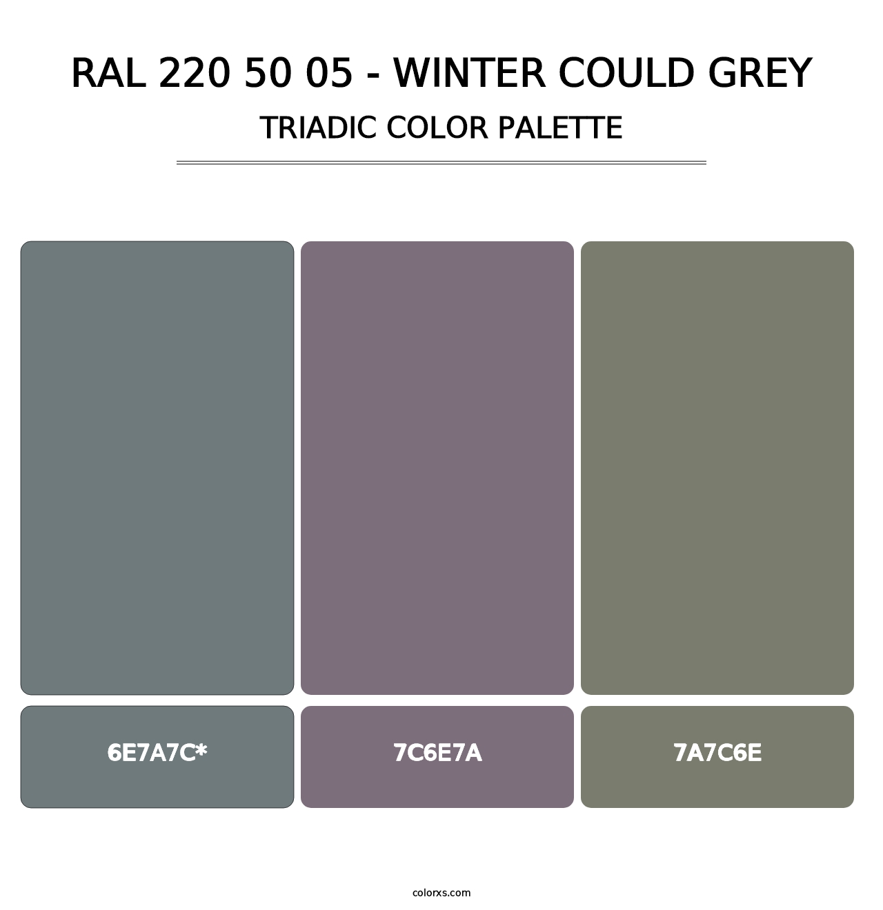 RAL 220 50 05 - Winter Could Grey - Triadic Color Palette