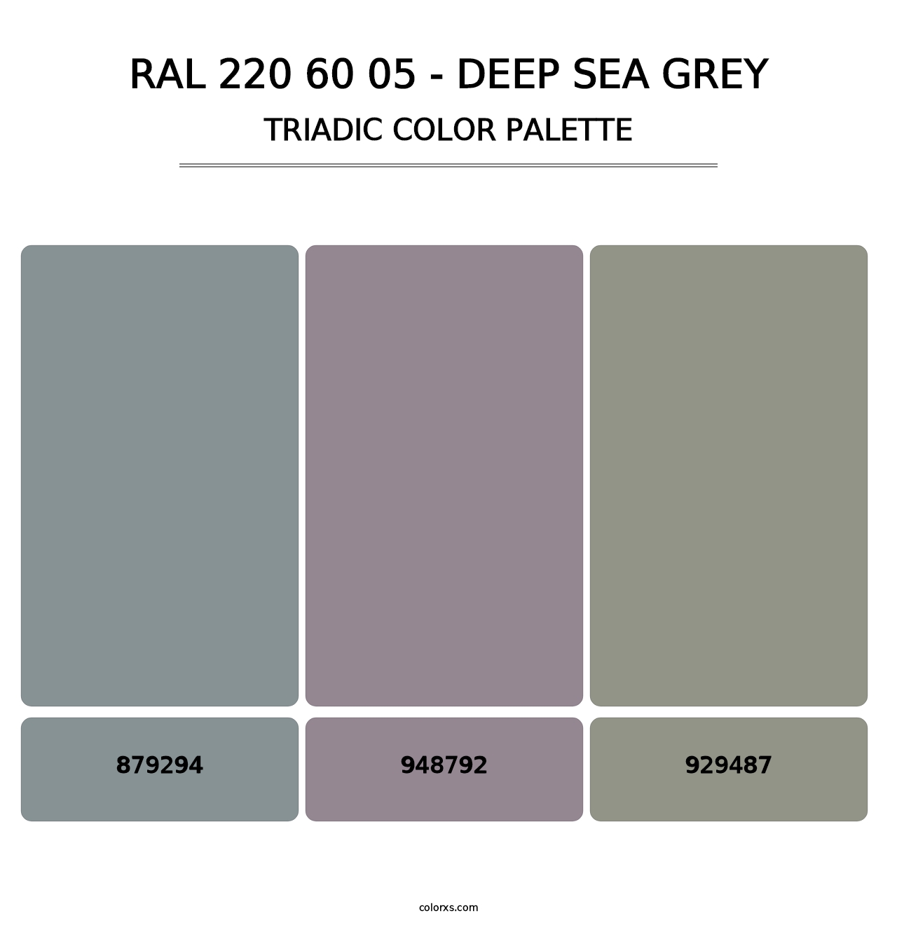 RAL 220 60 05 - Deep Sea Grey - Triadic Color Palette