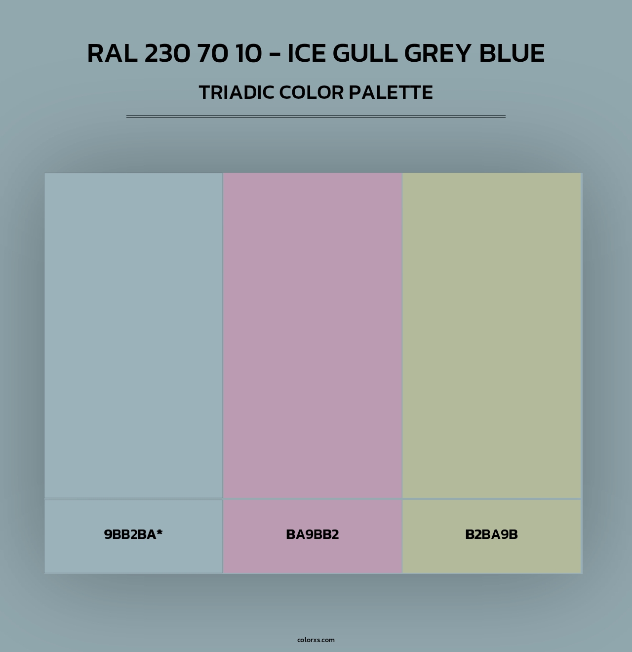 RAL 230 70 10 - Ice Gull Grey Blue - Triadic Color Palette